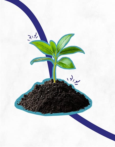 Seed Money Scheme Maharashtra