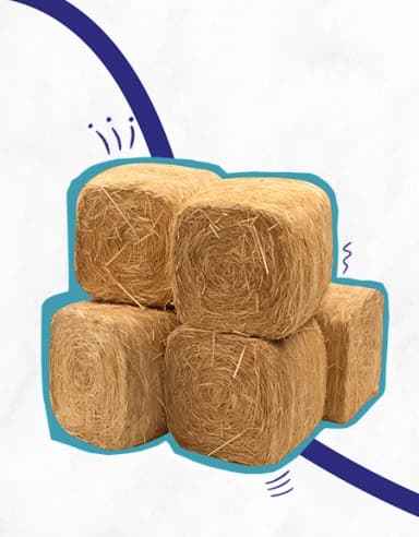 Coir Udyami Yojana