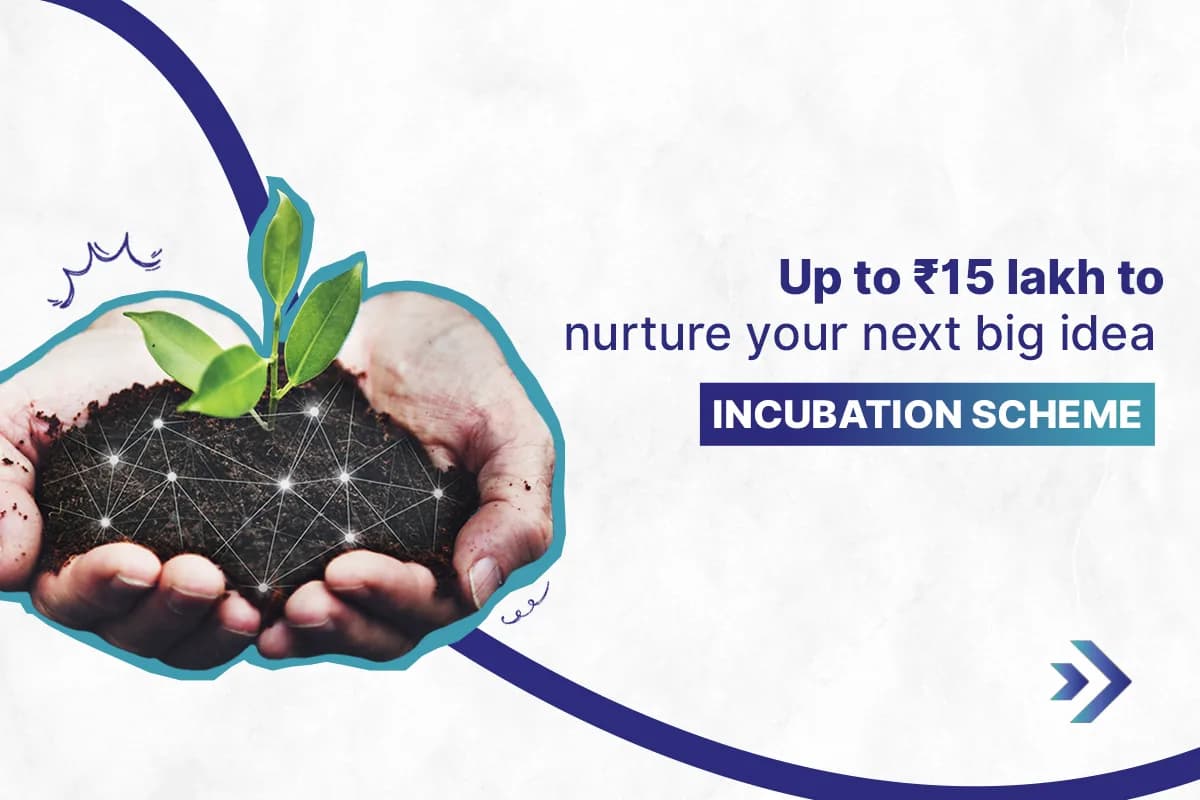Incubation Scheme