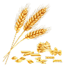 Agriculture & Natural Resources