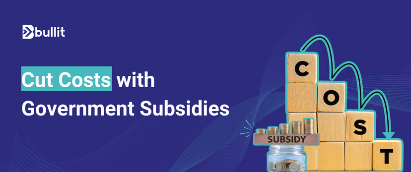 How Government Subsidies Can Reduce MSME Operational Costs