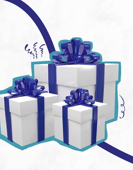 MSE GIFT Scheme MSE GIFT Scheme