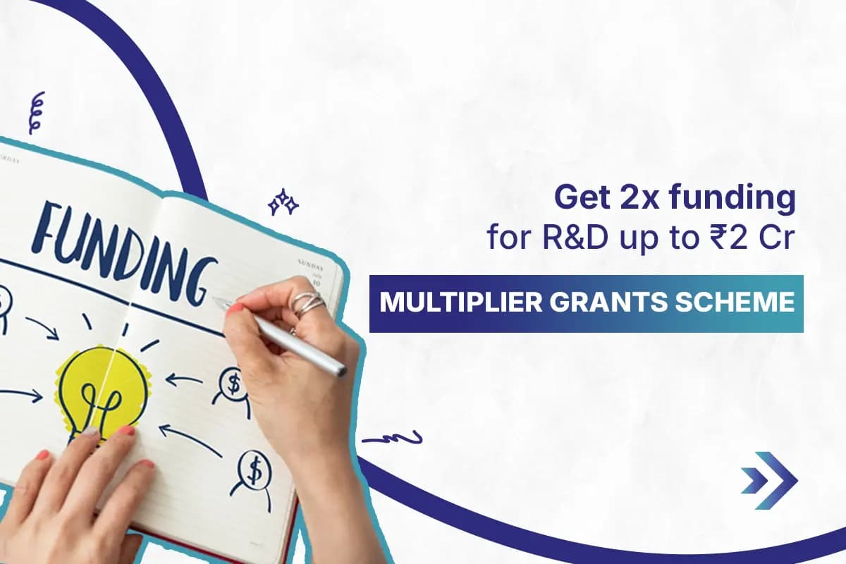 Multiplier Grants Scheme
